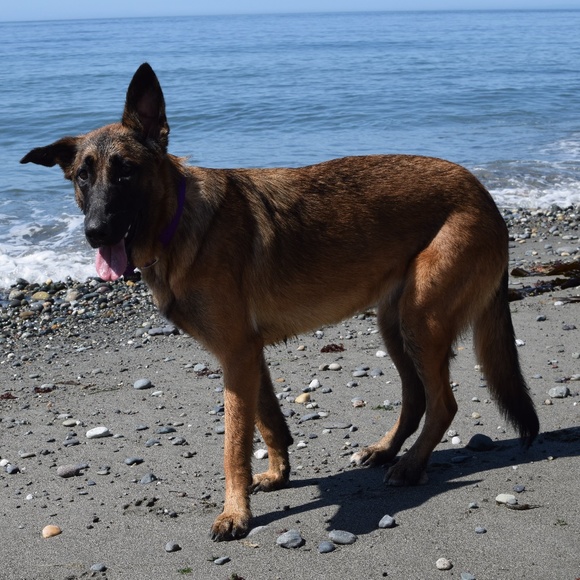 Meet the Posher - Picture 1 of 1